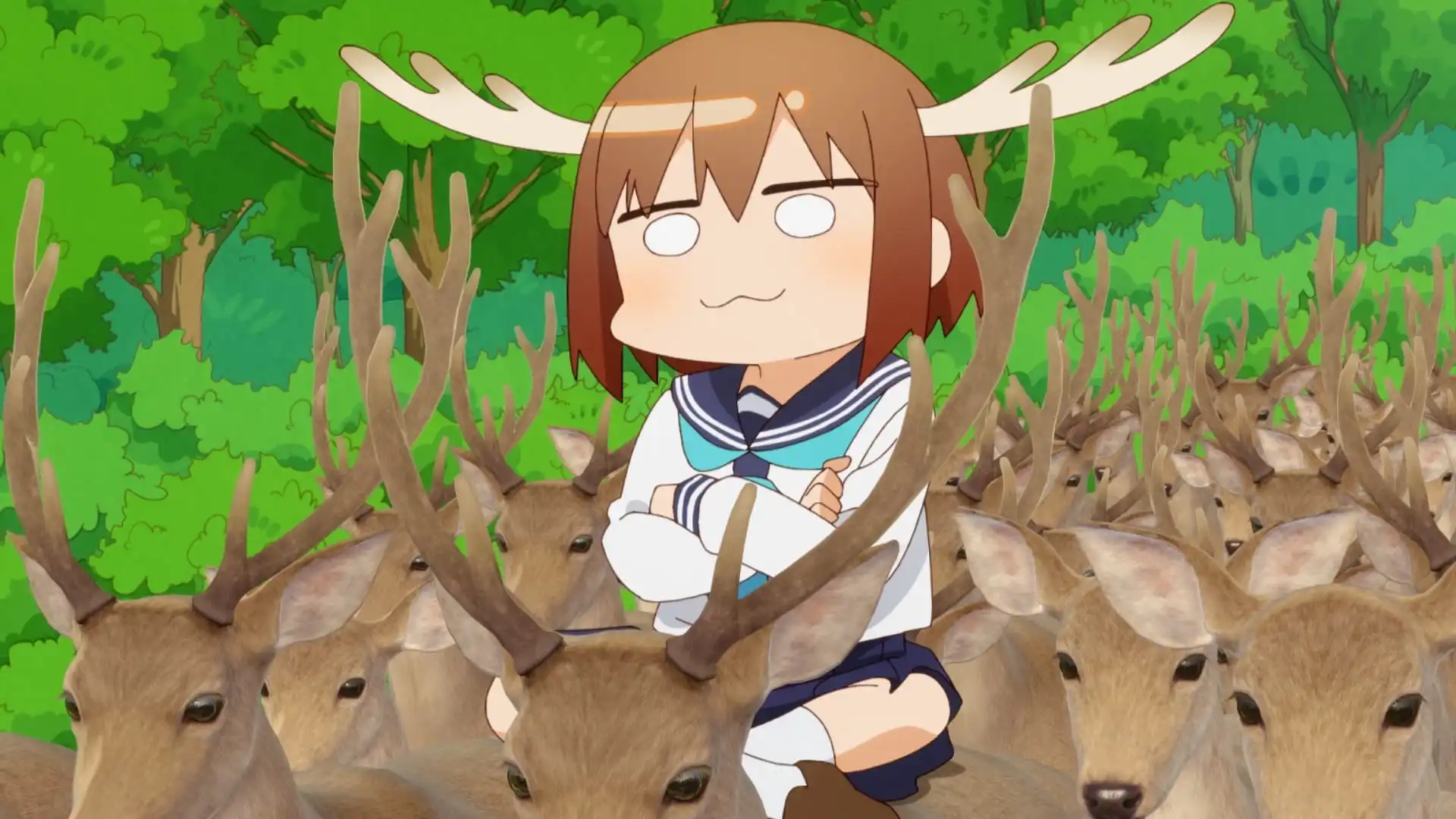 Shikanoko Nokonoko Koshitantan Background