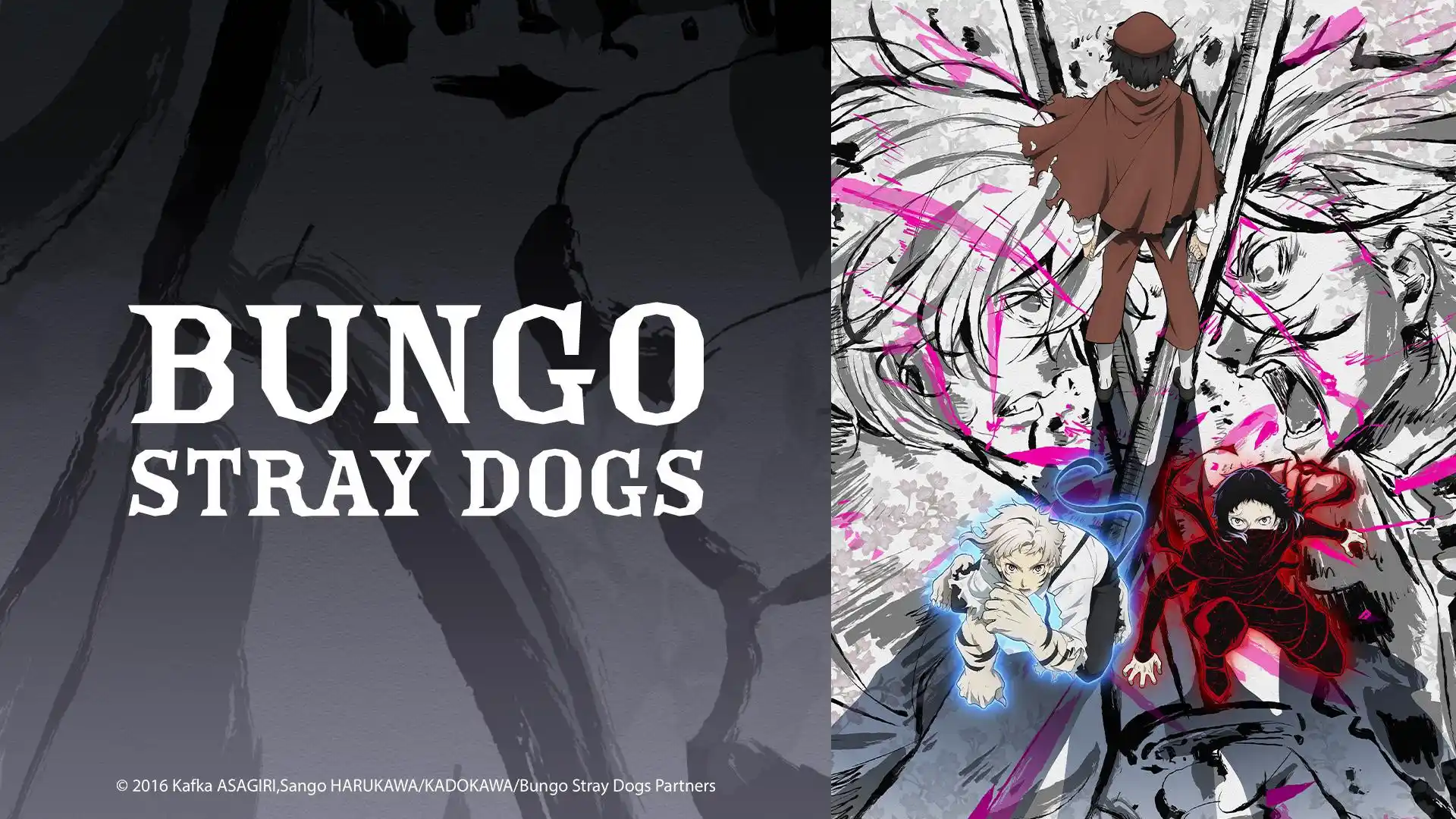 Bungou Stray Dogs 5 Background