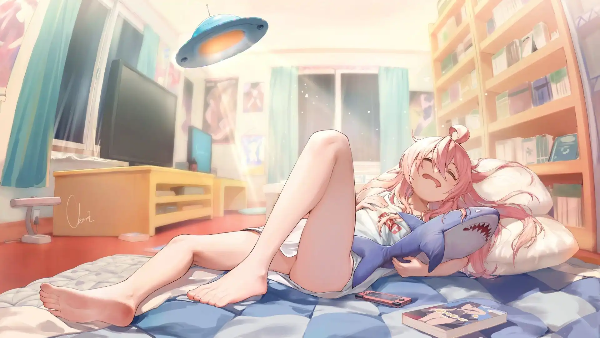 Oniichan wa Oshimai! Background